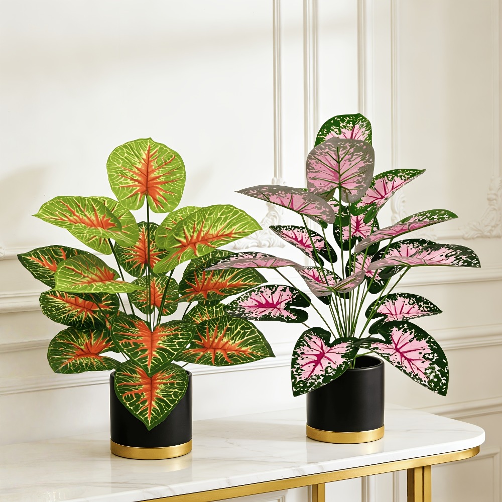 2 Peças de Plantas Tropicais A - Home Office Holidays 2026 avaliação e preço